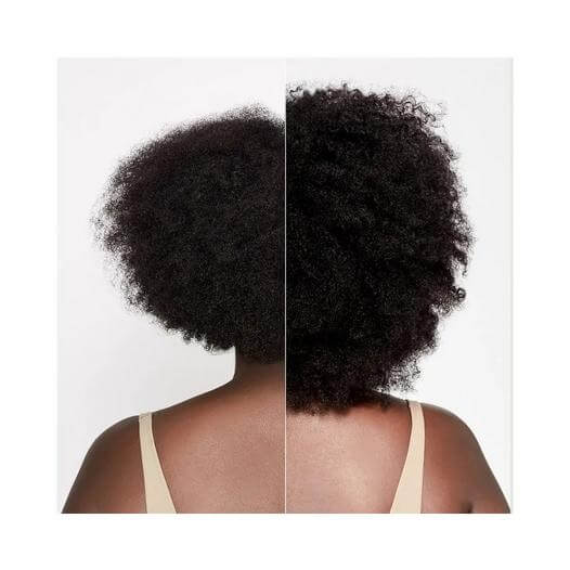 Paul Mitchell Tea Tree Special Detox Kombucha Rinse 200ml Trio NEW