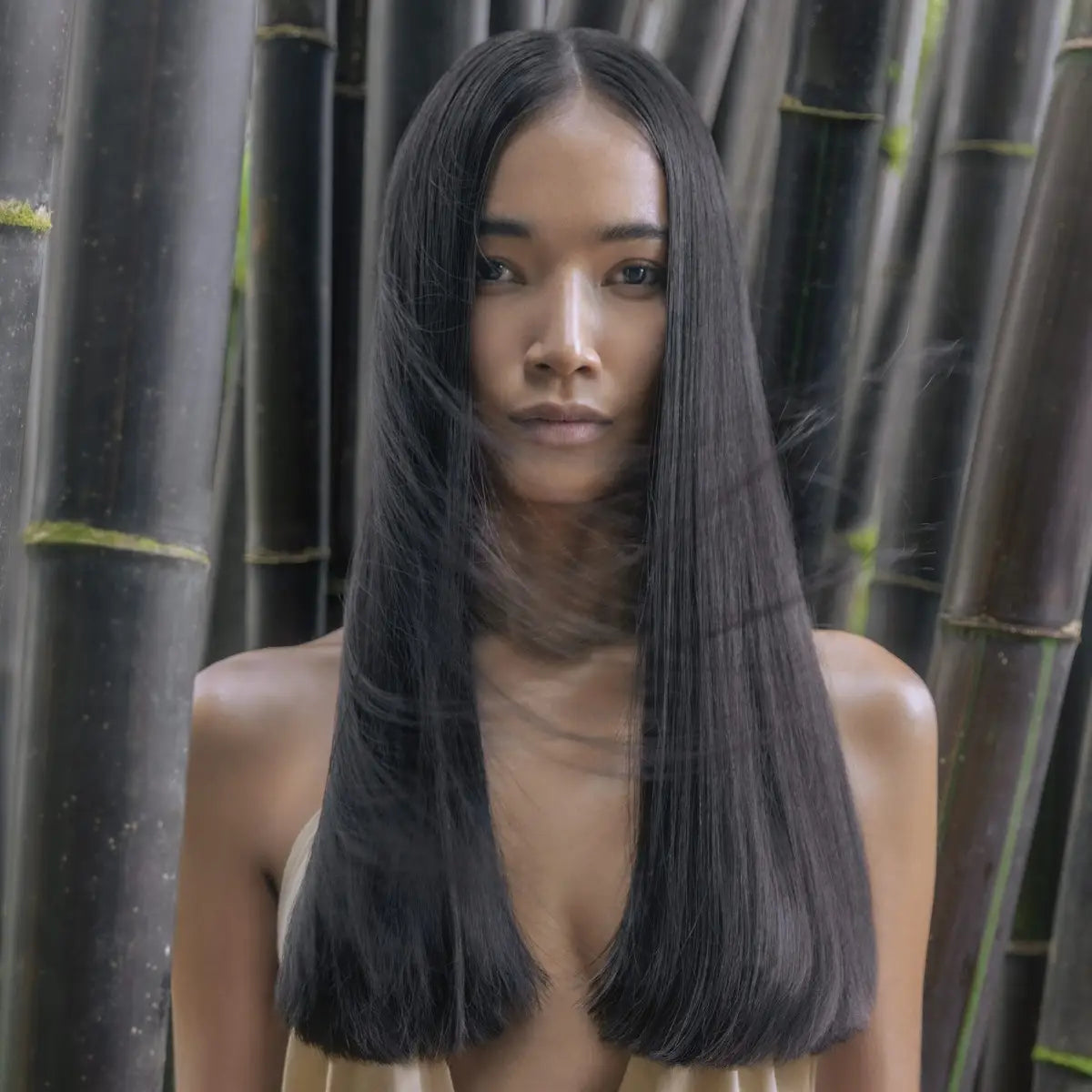 Paul Mitchell Awapuhi Wild Ginger Nourishing Shampoo 250ml