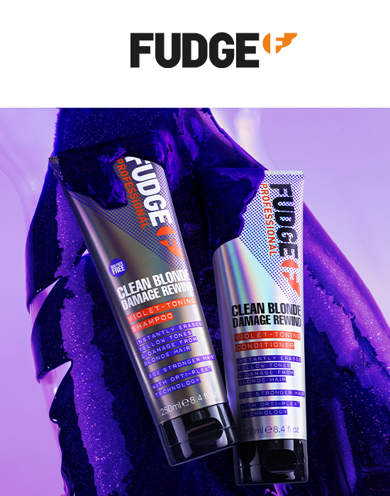 FUDGE PROFESSIONAL