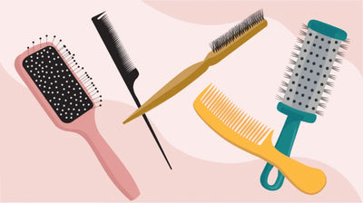 Brushes & Accessories - Retail