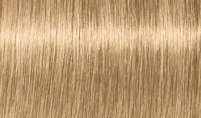 Indola Professional Blonde Expert Colour 60ml - Salon Warehouse