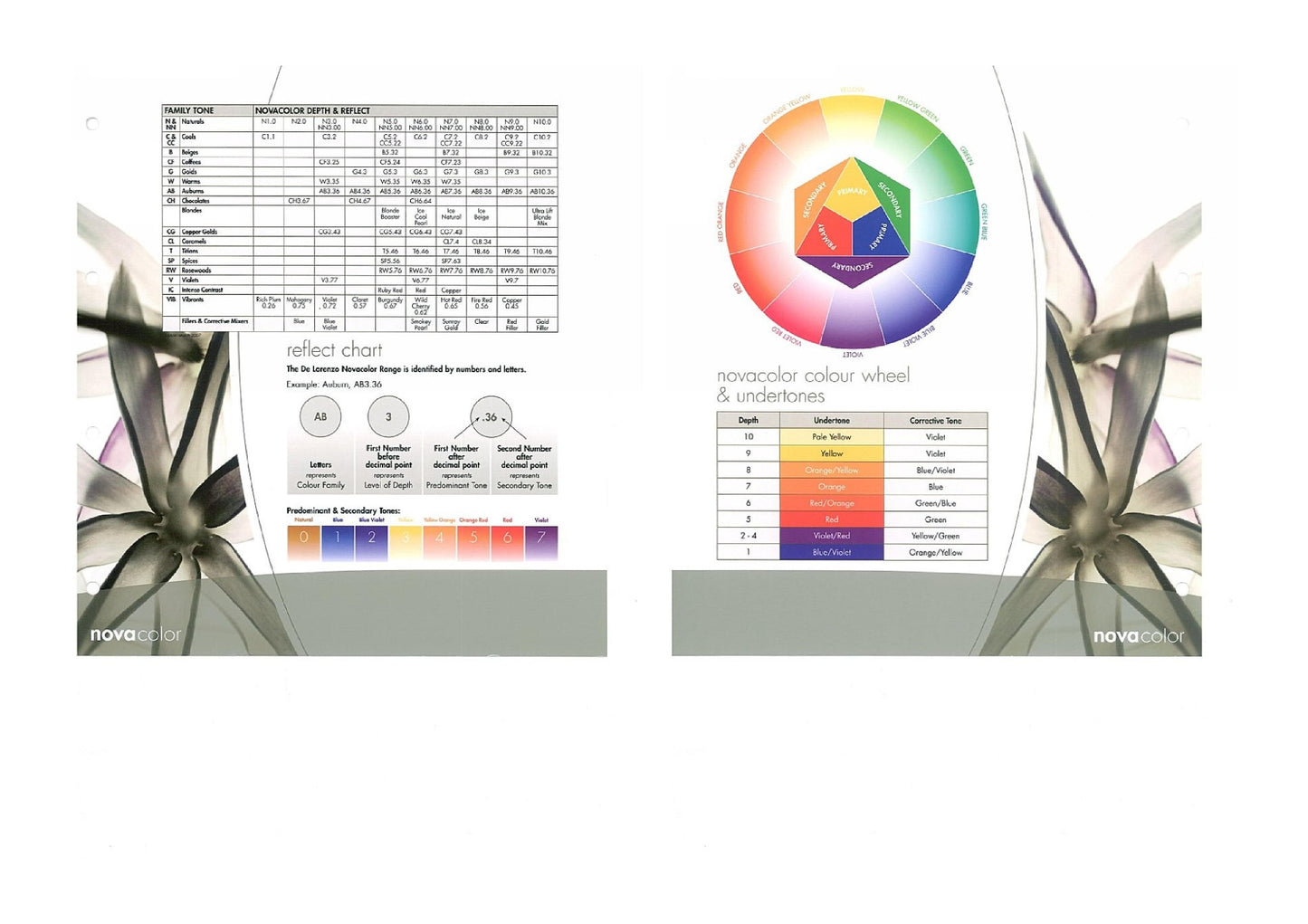 De Lorenzo Novacolor Professional Colours 60g