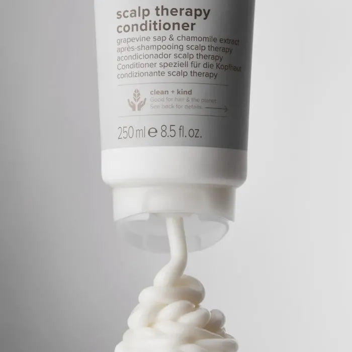 Clean Beauty By Paul Mitchell Scalp Therapy Conditioner 250ml