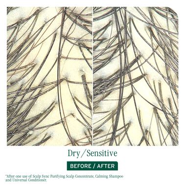 Matrix Biolage ScalpSync Purifying Scalp Concentrate 200ml NEW