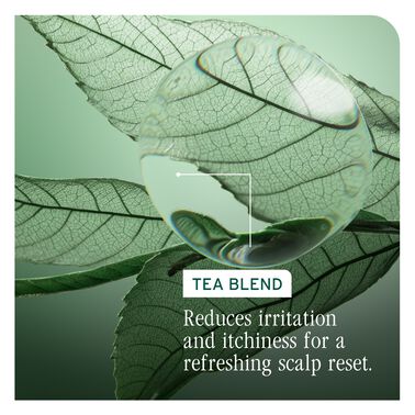 Matrix Biolage ScalpSync Purifying Scalp Concentrate 200ml NEW