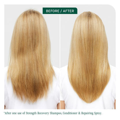 Matrix Biolage Strength Recovery Shampoo 400ml NEW