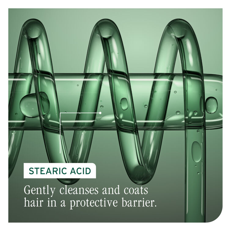 Matrix Biolage Color Last Conditioner 400ml NEW