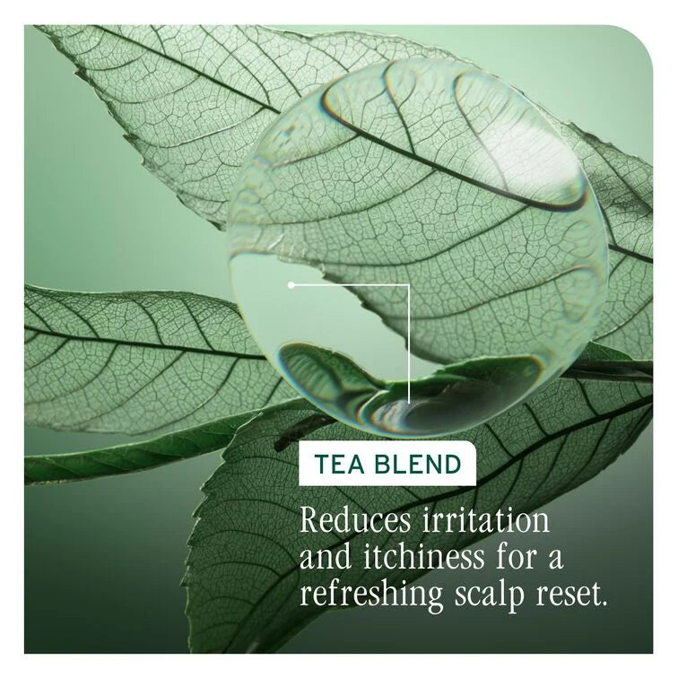 Matrix Biolage ScalpSync Universal Conditioner 236ml NEW