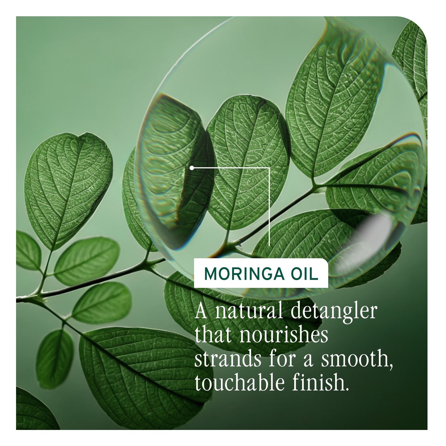 Matrix Biolage All-In-One Multi-Benefit Oil 100ml NEW