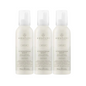 Paul Mitchell Awapuhi Wild Ginger HydroCream Whip Mousse 200ml Trio