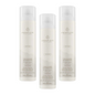 Paul Mitchell Awapuhi Wild Ginger Finishing Spray 300ml Trio