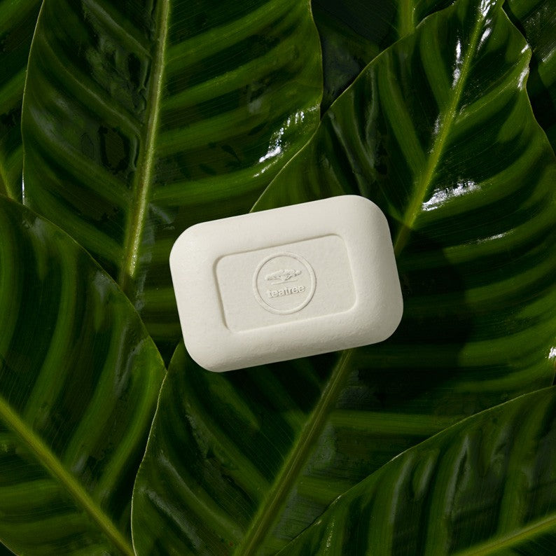 Paul Mitchell Tea Tree Body Bar 150ml