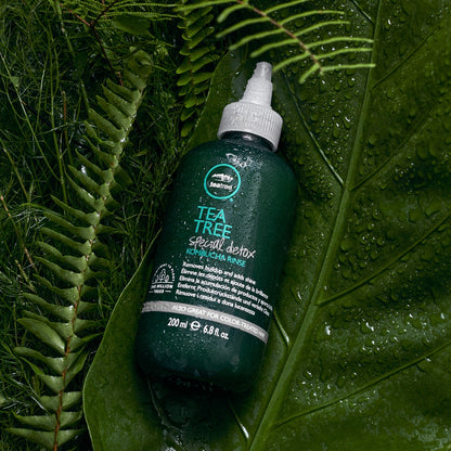 Paul Mitchell Tea Tree Special Detox Kombucha Rinse 200ml