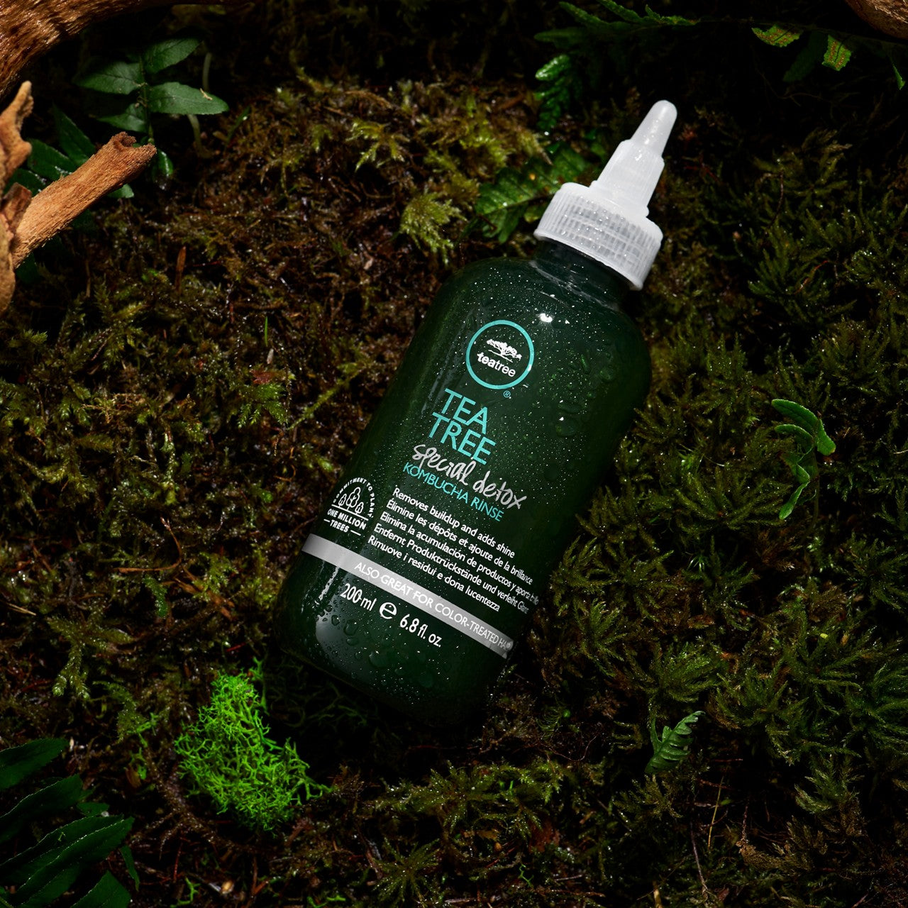 Paul Mitchell Tea Tree Special Detox Kombucha Rinse 200ml