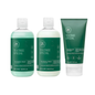 Paul Mitchell Tea Tree Special Shampoo, Conditioner 300ml & Scalp Treatment 150ml Trio
