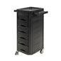 Salon & Co Gemini Trolley