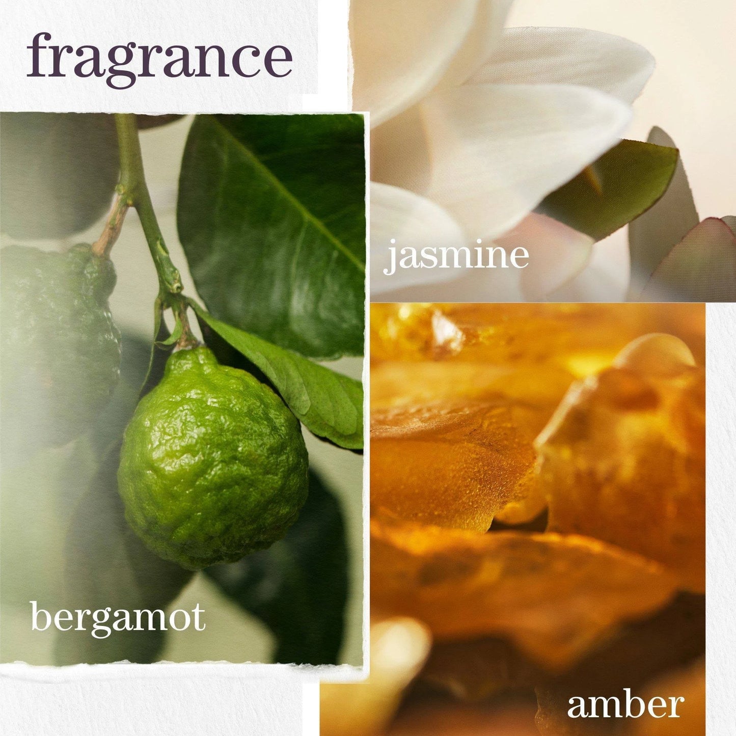 Pureology Strength Cure Dream Healer Serum 100ml - Salon Warehouse