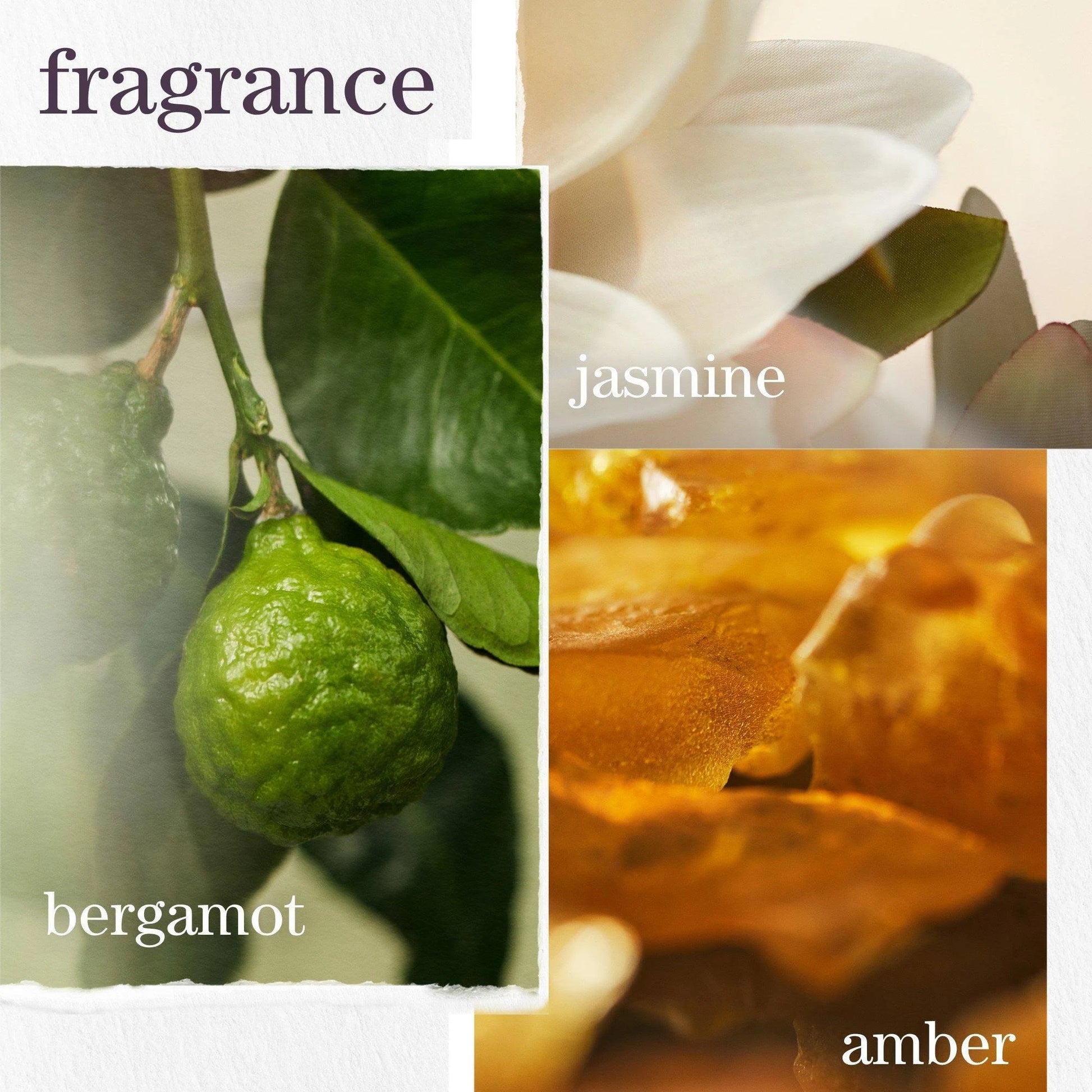 Pureology Strength Cure Dream Healer Serum 100ml - Salon Warehouse