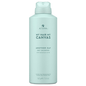 Alterna My Hair My Canvas Another Day Dry Shampoo 142g