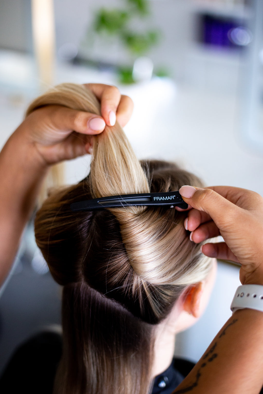 Framar Super Sectioner Clips - Black